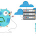 Advanced Golang Tutorials: HTTP Middleware